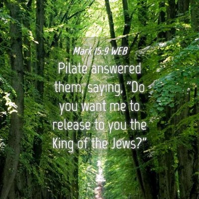 Picture 04 - Mark 15:9 WEB - Pilate answered them, saying, 