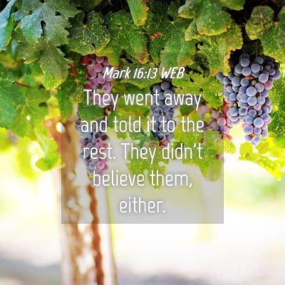 Picture 04 - Mark 16:13 WEB - They went away and told it to the rest. They - Bible Verse Picture