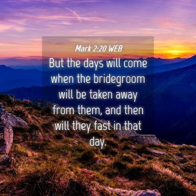 Picture 04 - Mark 2:20 WEB - But the days will come when the bridegroom will - Bible Verse Picture