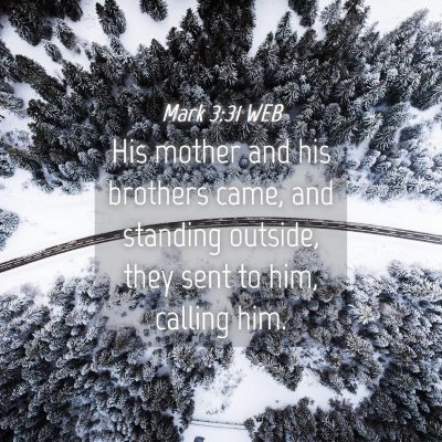 Picture 04 - Mark 3:31 WEB - His mother and his brothers came, and standing - Bible Verse Picture