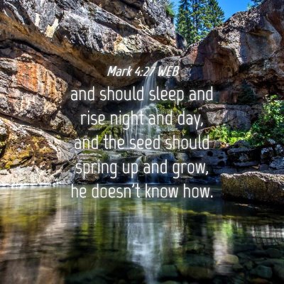 Picture 04 - Mark 4:27 WEB - and should sleep and rise night and day, and the - Bible Verse Picture