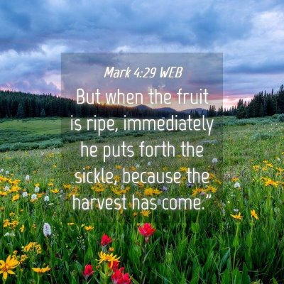 Picture 04 - Mark 4:29 WEB - But when the fruit is ripe, immediately he puts - Bible Verse Picture