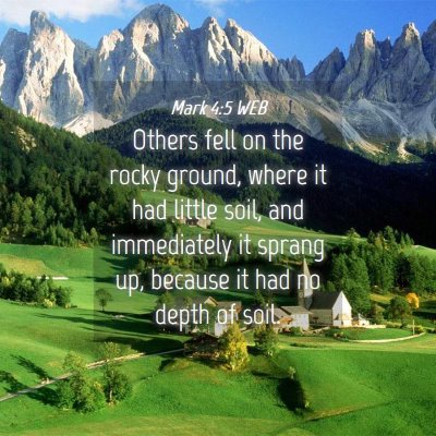 Picture 04 - Mark 4:5 WEB - Others fell on the rocky ground, where it had - Bible Verse Picture