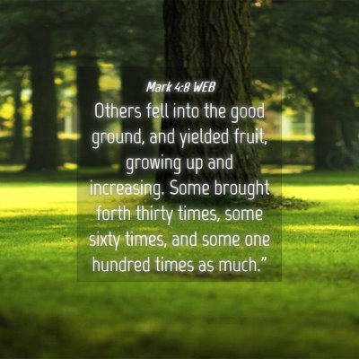 Picture 04 - Mark 4:8 WEB - Others fell into the good ground, and yielded - Bible Verse Picture