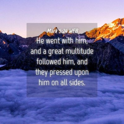 Picture 04 - Mark 5:24 WEB - He went with him, and a great multitude followed - Bible Verse Picture