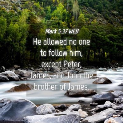 Picture 04 - Mark 5:37 WEB - He allowed no one to follow him, except Peter, - Bible Verse Picture