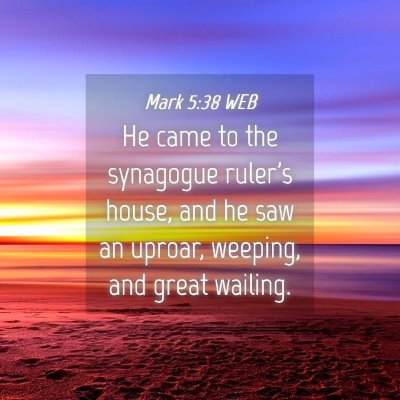 Picture 04 - Mark 5:38 WEB - He came to the synagogue ruler's house, and he - Bible Verse Picture