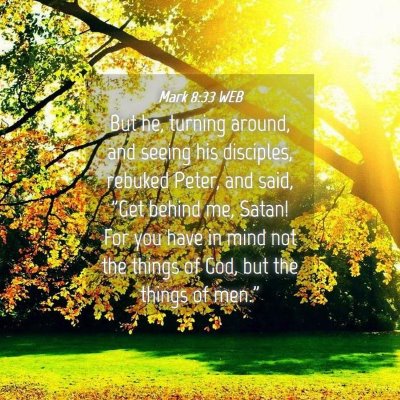 Picture 04 - Mark 8:33 WEB - But he, turning around, and seeing his disciples, - Bible Verse Picture