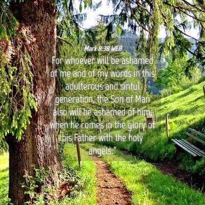 Picture 04 - Mark 8:38 WEB - For whoever will be ashamed of me and of my words - Bible Verse Picture