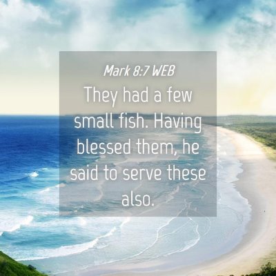 Picture 04 - Mark 8:7 WEB - They had a few small fish. Having blessed them, - Bible Verse Picture