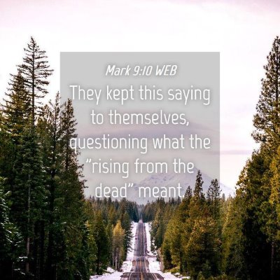 Picture 04 - Mark 9:10 WEB - They kept this saying to themselves, questioning - Bible Verse Picture