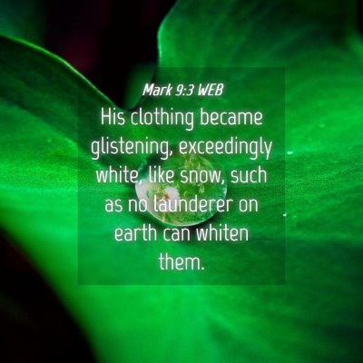 Picture 04 - Mark 9:3 WEB - His clothing became glistening, exceedingly - Bible Verse Picture