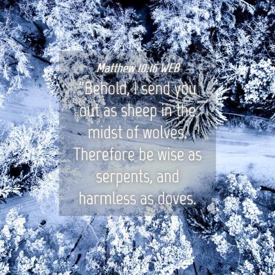 Picture 04 - Matthew 10:16 WEB - 