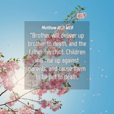 Picture 04 - Matthew 10:21 WEB - 