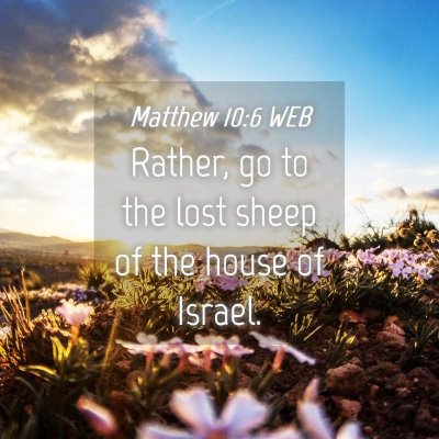 Picture 04 - Matthew 10:6 WEB - Rather, go to the lost sheep of the house of - Bible Verse Picture