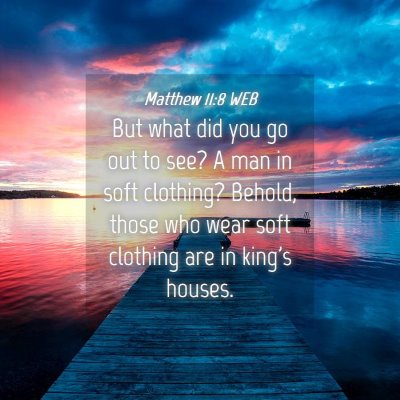 Picture 04 - Matthew 11:8 WEB - But what did you go out to see? A man in soft - Bible Verse Picture
