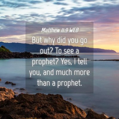 Picture 04 - Matthew 11:9 WEB - But why did you go out? To see a prophet? Yes, I - Bible Verse Picture