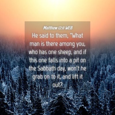 Picture 04 - Matthew 12:11 WEB - He said to them, 