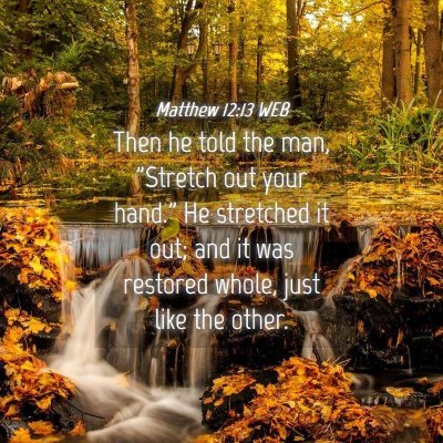 Picture 04 - Matthew 12:13 WEB - Then he told the man, 