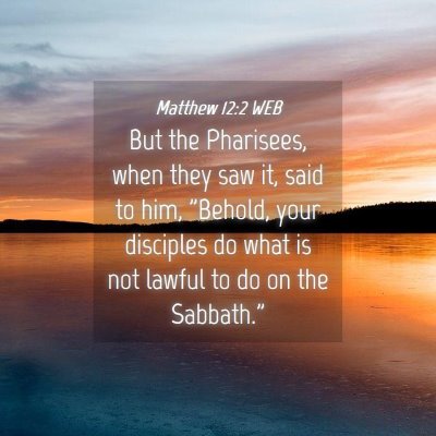 Picture 04 - Matthew 12:2 WEB - But the Pharisees, when they saw it, said to him, - Bible Verse Picture