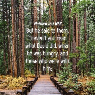 Picture 04 - Matthew 12:3 WEB - But he said to them, 