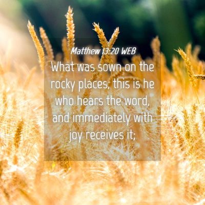 Picture 04 - Matthew 13:20 WEB - What was sown on the rocky places, this is he who - Bible Verse Picture