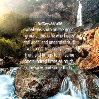 Picture 04 - Matthew 13:23 WEB - What was sown on the good ground, this is he who - Bible Verse Picture