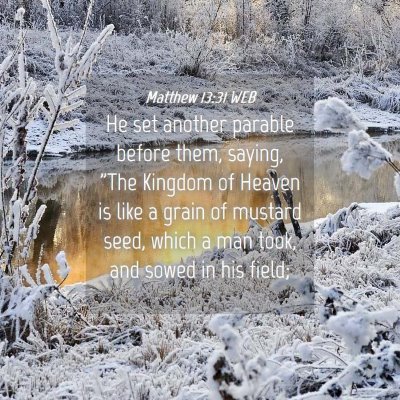 Picture 04 - Matthew 13:31 WEB - He set another parable before them, saying, 