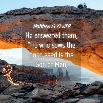 Picture 04 - Matthew 13:37 WEB - He answered them, 