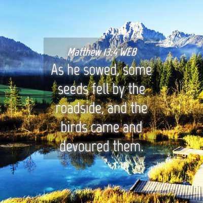 Picture 04 - Matthew 13:4 WEB - As he sowed, some seeds fell by the roadside, and - Bible Verse Picture