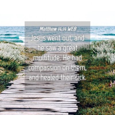 Picture 04 - Matthew 14:14 WEB - Jesus went out, and he saw a great multitude. He - Bible Verse Picture
