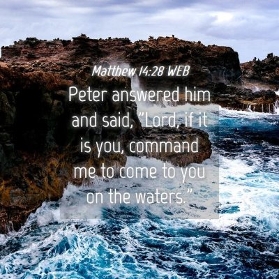 Picture 04 - Matthew 14:28 WEB - Peter answered him and said, 