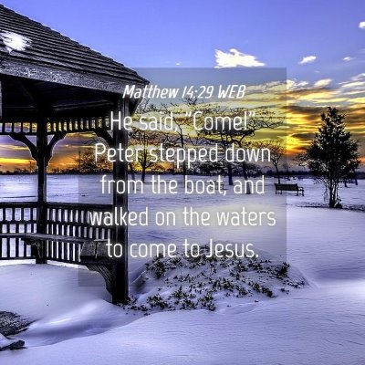 Picture 04 - Matthew 14:29 WEB - He said, 