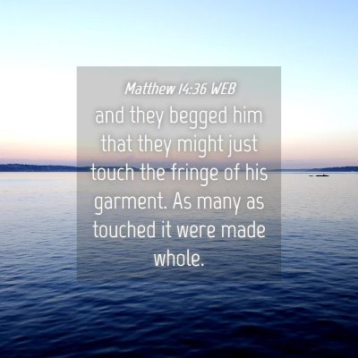 Picture 04 - Matthew 14:36 WEB - and they begged him that they might just touch - Bible Verse Picture