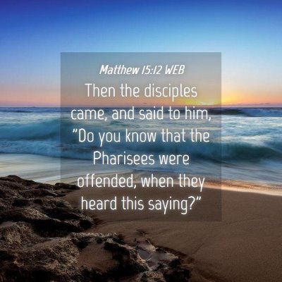 Picture 04 - Matthew 15:12 WEB - Then the disciples came, and said to him, 