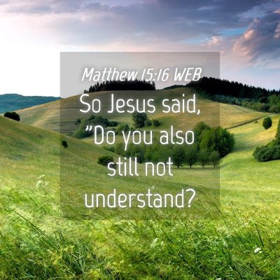 Picture 04 - Matthew 15:16 WEB - So Jesus said, 