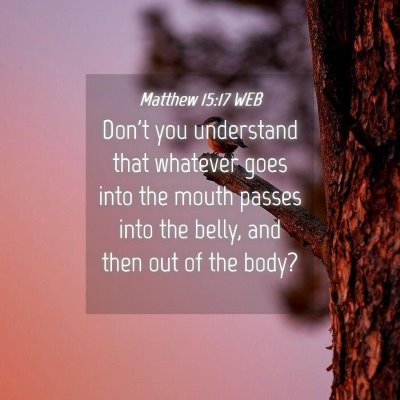 Picture 04 - Matthew 15:17 WEB - Don't you understand that whatever goes into the - Bible Verse Picture
