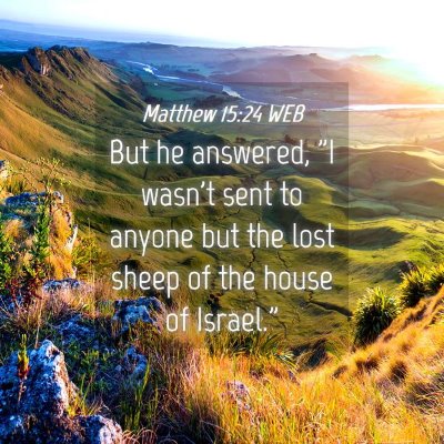 Picture 04 - Matthew 15:24 WEB - But he answered, 
