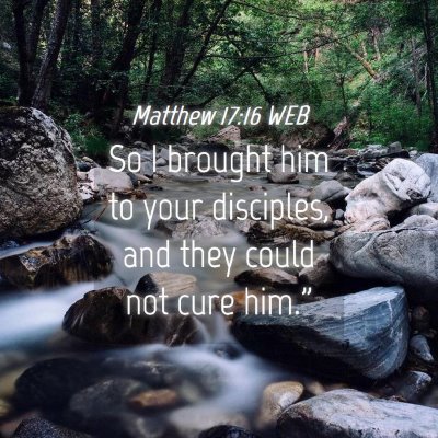 Picture 04 - Matthew 17:16 WEB - So I brought him to your disciples, and they - Bible Verse Picture