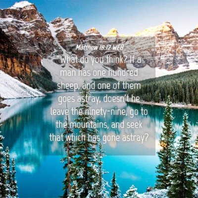 Picture 04 - Matthew 18:12 WEB - 