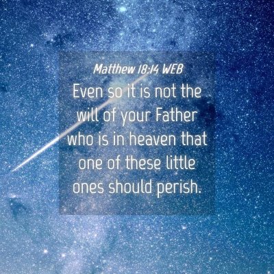 Picture 04 - Matthew 18:14 WEB - Even so it is not the will of your Father who is - Bible Verse Picture