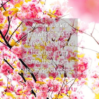 Picture 04 - Matthew 18:20 WEB - For where two or three are gathered together in - Bible Verse Picture