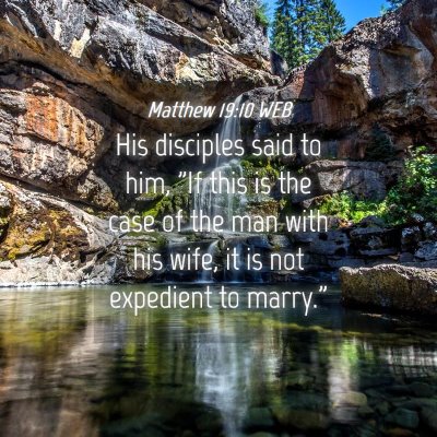 Picture 04 - Matthew 19:10 WEB - His disciples said to him, 