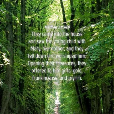 Picture 04 - Matthew 2:11 WEB - They came into the house and saw the young child - Bible Verse Picture