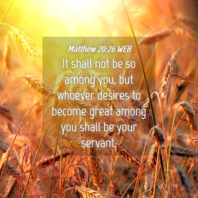Picture 04 - Matthew 20:26 WEB - It shall not be so among you, but whoever desires - Bible Verse Picture