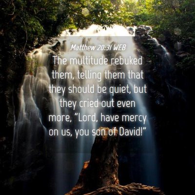 Picture 04 - Matthew 20:31 WEB - The multitude rebuked them, telling them that - Bible Verse Picture
