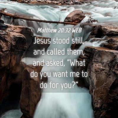 Picture 04 - Matthew 20:32 WEB - Jesus stood still, and called them, and asked, - Bible Verse Picture