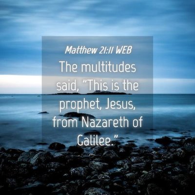 Picture 04 - Matthew 21:11 WEB - The multitudes said, 
