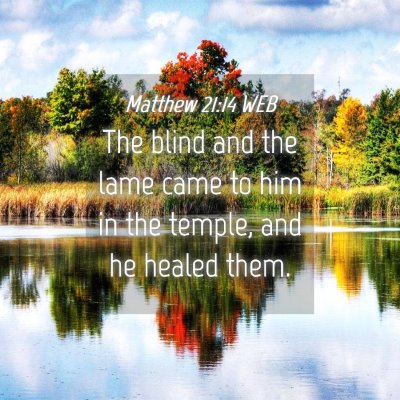 Picture 04 - Matthew 21:14 WEB - The blind and the lame came to him in the temple, - Bible Verse Picture