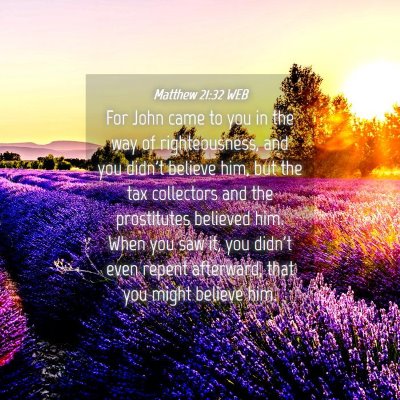 Picture 04 - Matthew 21:32 WEB - For John came to you in the way of righteousness, - Bible Verse Picture